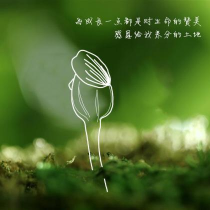 019cf156aef5246ac7256cb042e838.jpg